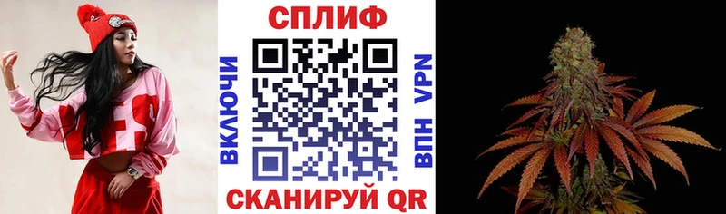 Канабис ГИДРОПОН  Михайлов 